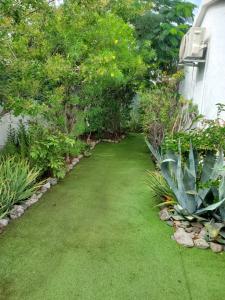 Très BEAU BUNGALOW,JARDIN TROPICAL, RENOVATION ETE 2020