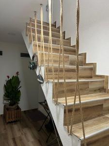 Apartmani Rajić, Tara