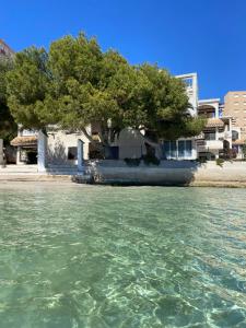 La Manga Caralmar Paraíso