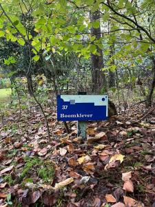 De Boomklever, vrijstaand en midden in het bos aan de heide!