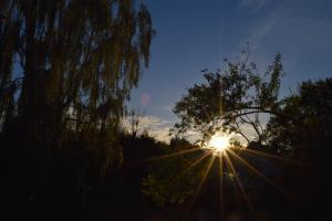 Peaceful Orø Getaway, Cozy Home with Garden & Guesthouse