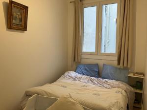 Central Paris Next to Louvre