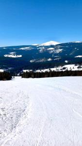 Horská chalupa u skiareálu