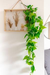 F4 Élégant - Strasbourg Cosy