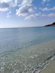 Eli's beach house img86