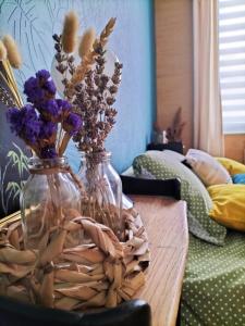 Grand appartement centre historique