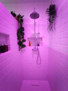 Grand appartement centre historique