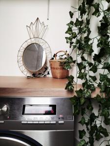 Grand appartement centre historique