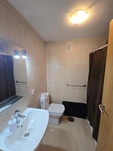 Desert roses Tenerife