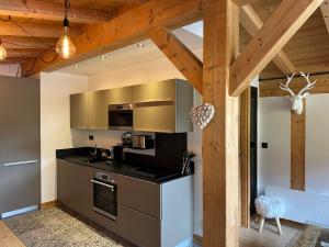 Portes du Soleil T3 "comme un chalet" direct access Morzine Avoriaz