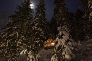 Amour de Chalet Cabane
