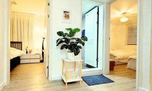 롯데월드, 석촌호수 최고의 집