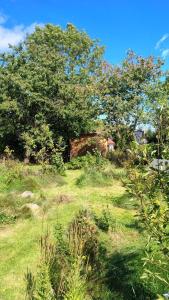 Cottage U Čechu Hideaway in Bohemian Nature