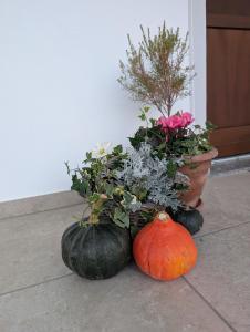 Al tempo ritrovato Country house