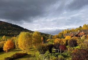 Wilcza Jama - domki z bali