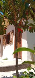 Hospedagem Refúgio dos Gnomos