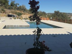 Stone Villa - Monte Chico Ze