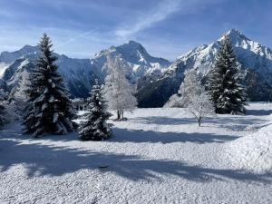 Panoramic Mountain View Apt, 65m2 with Parking, 6 guests