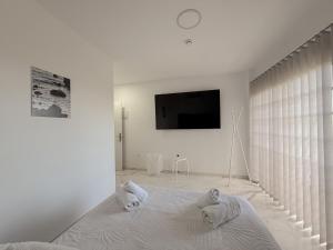 Alcalá Retreat: Ocean View & Modern Comfort