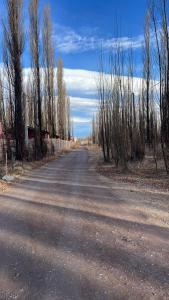 Casa Puentes Amarillos