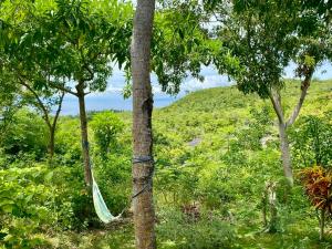 Novelyns Seaview Hideaway