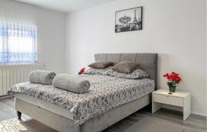 2 Bedroom Cozy Home In Salopeki Modruski