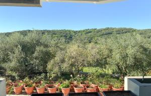 Awesome Apartment In Palit With Wifi