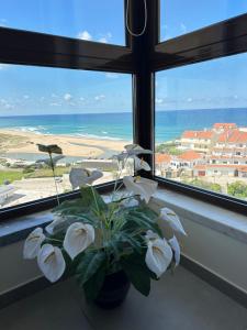 Face a locéan - Praia da areia branca, vue mer