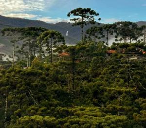 Casa na Cachoeira das Fadas - Matutu, Aiuruoca - MG