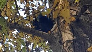 B&B Nonna Iolanda img42