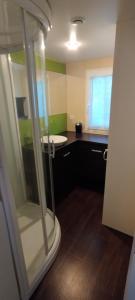 Mobil home, 4 personnes, camping 3 étoiles à la Tremblade