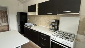 Apartament cu o camera Iasi