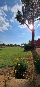 La Foresteria di Podere Muracciolo