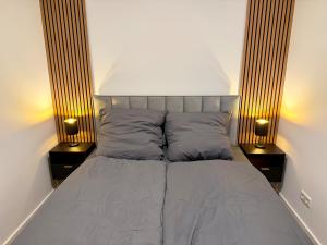 Holiday Apartment in Osnabrück 12001