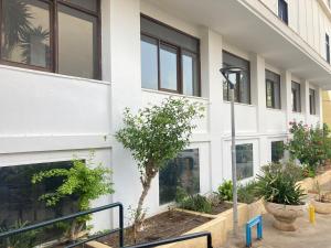 Great Hostels Apartments Carihuela