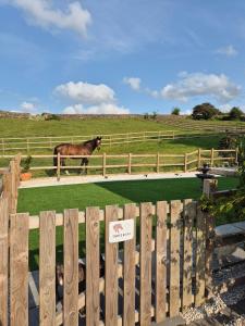 Luxury Detached Peak District Stone Barn - Dog Friendly - Rural Walkers Paradise