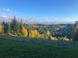 Nocleg pod Turbaczem