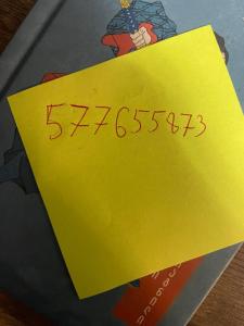 Tatra K2 bakurianiroom 28