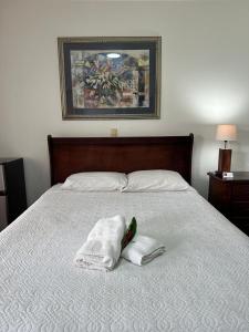 Brillasol Airport Hotel