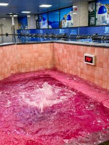 Benikea Hotel Cheong Do Hot Spring