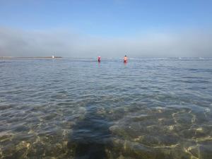 Modern appt with pool and easy access to beach