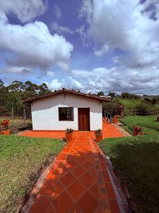 San José de las bromelias