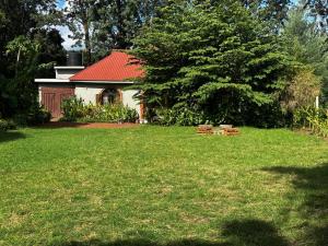 Home Feeling Kilimanjaro