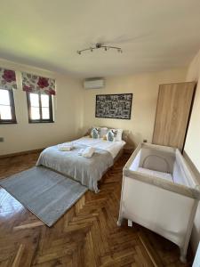 Apartment Zdravets, in the heart of the old city