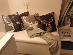 Attico delle Dolomiti