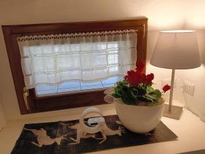 Attico delle Dolomiti