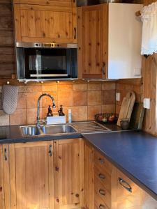 Mysig timmerstuga vid sjön Björken