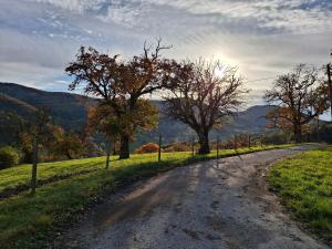 Ferienwohnung Großleiten Alm