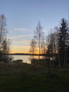 Mysig timmerstuga vid sjön Björken