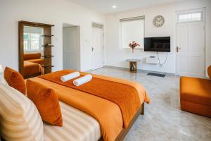 Spacious Eco House Malabe